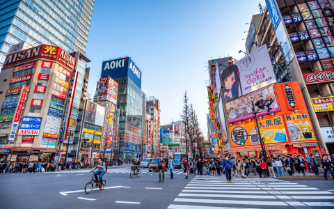 wycieczka do Japonii tokio (3).png